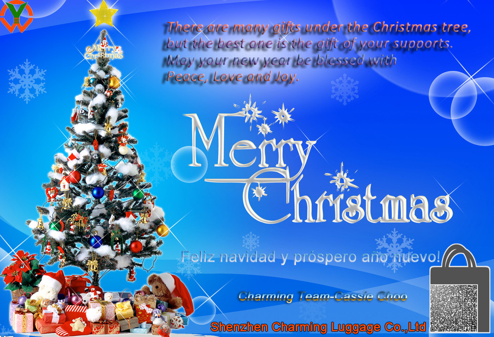 Merry Christmas and Happy New Year 2017